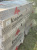 ������������ ������ ����� ���������� ���������� 1,4 �� ������� ������